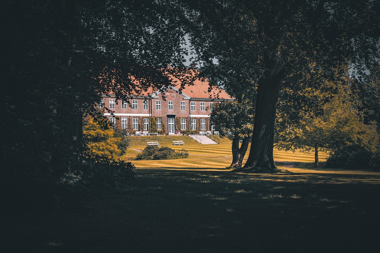 財産分与における弁護士の役割とは？