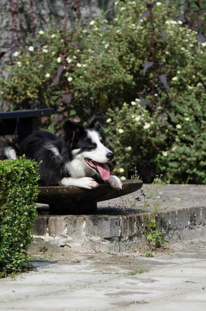 養育費が高すぎると感じる理由とは？