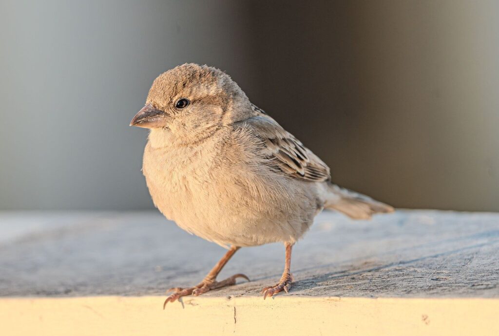 養育費請求の時効はどのくらい？
