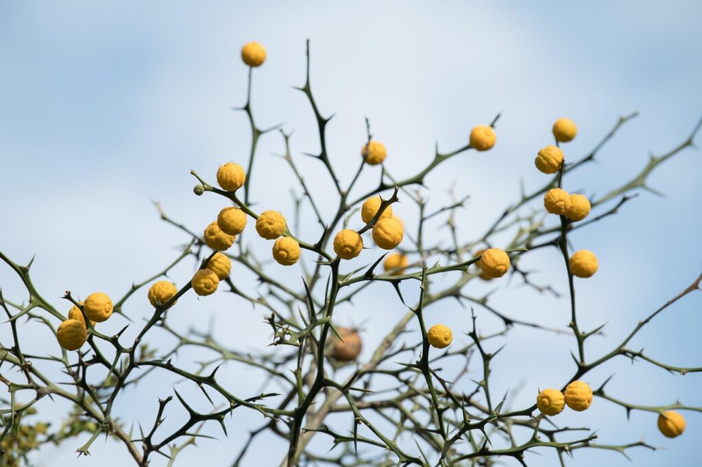 離婚したい時に必要な話し合いの進め方は？