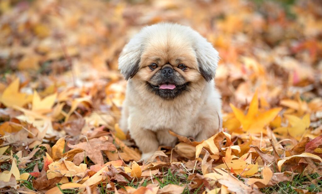 養育費が多すぎる場合の適切な対処法は？