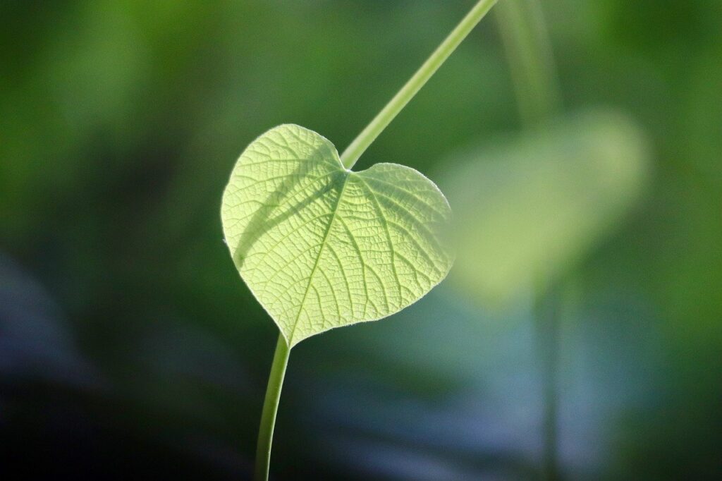 子どもに優しい離婚を進めるための家庭裁判所の利用方法は？