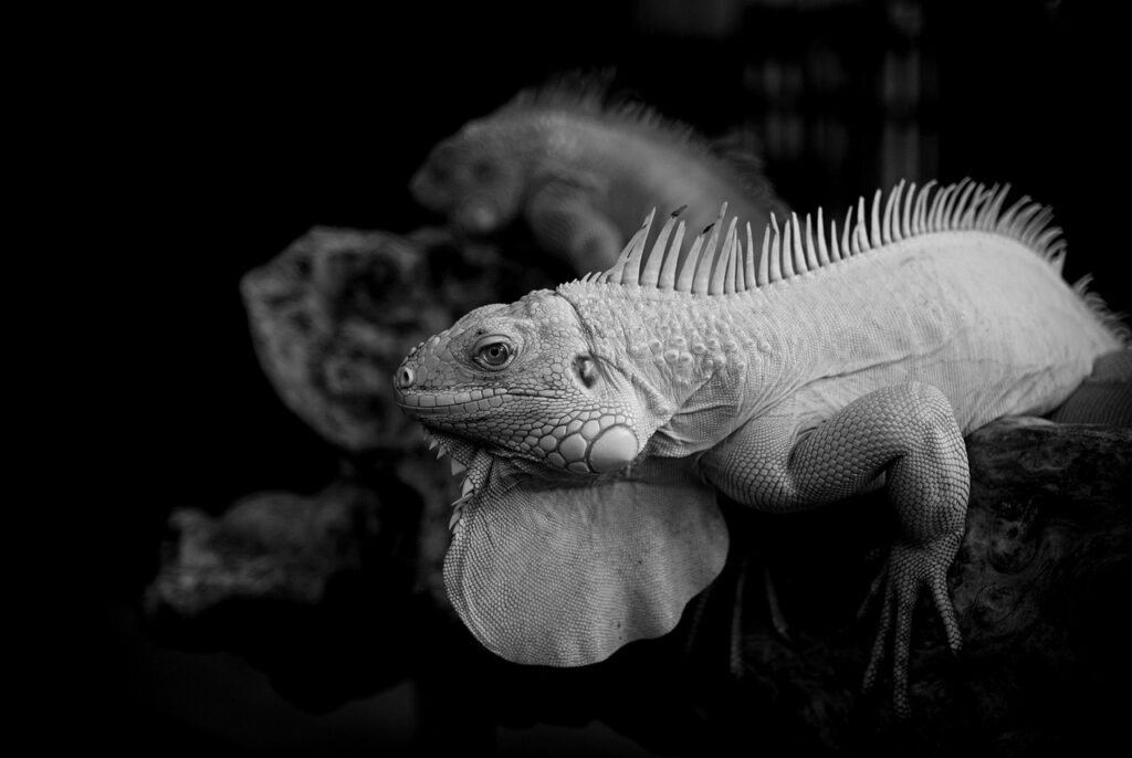 円満離婚における面会交流の相談方法は？